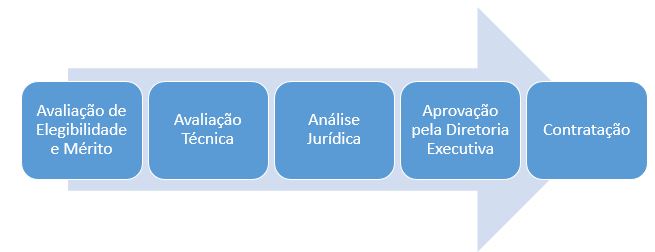 Startup Processo de Selecao