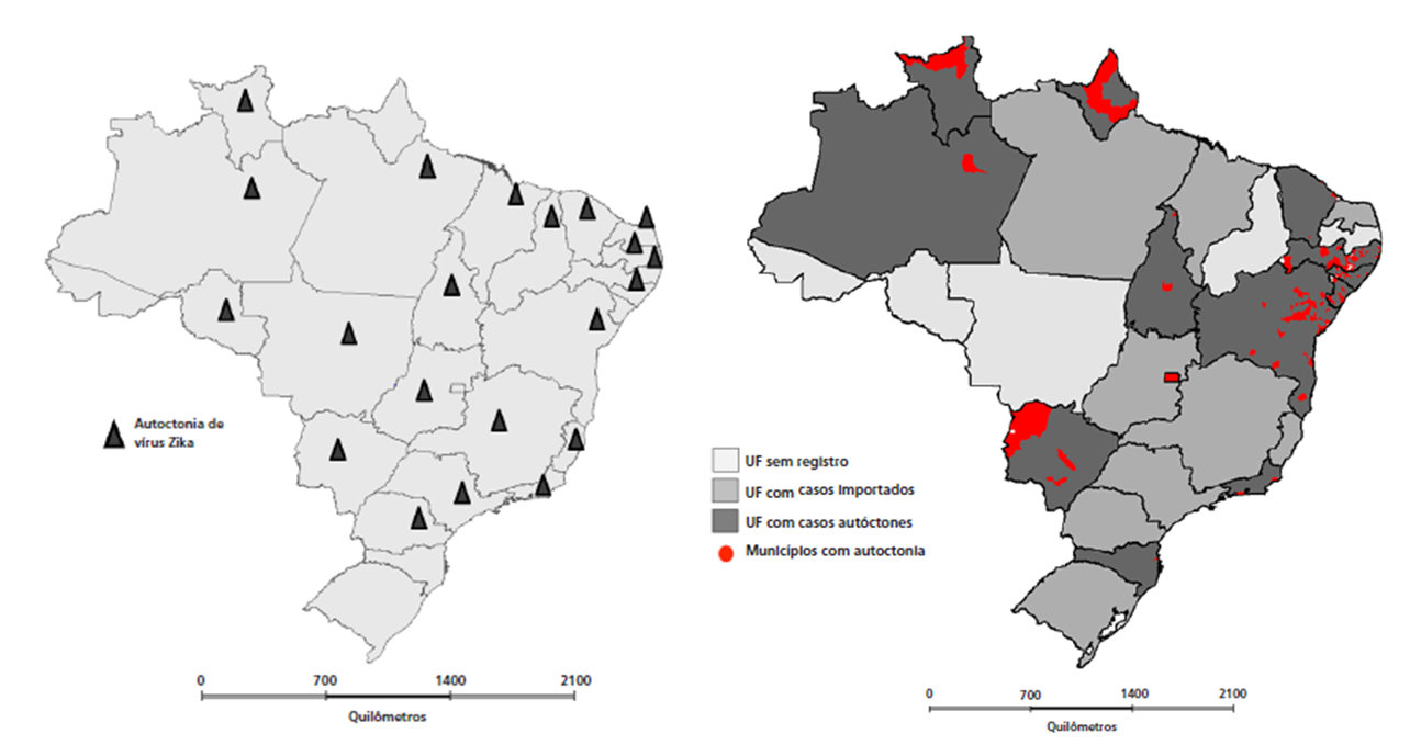 inova zika