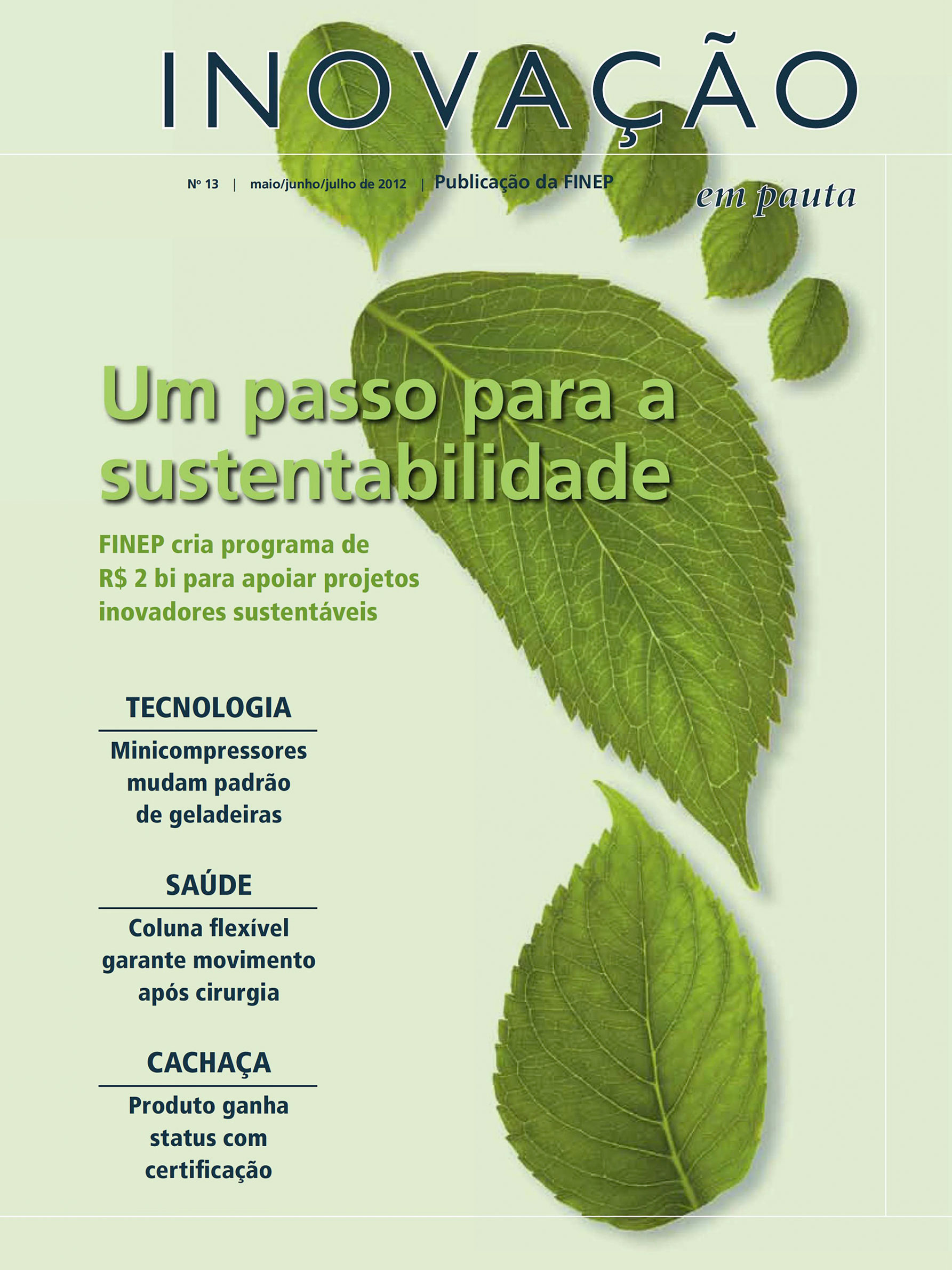 Edição nº 13