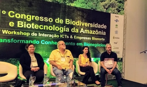 mesaamazonia