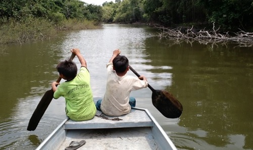 populacao amazonia